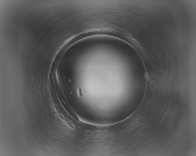 X0000054440628200508011430