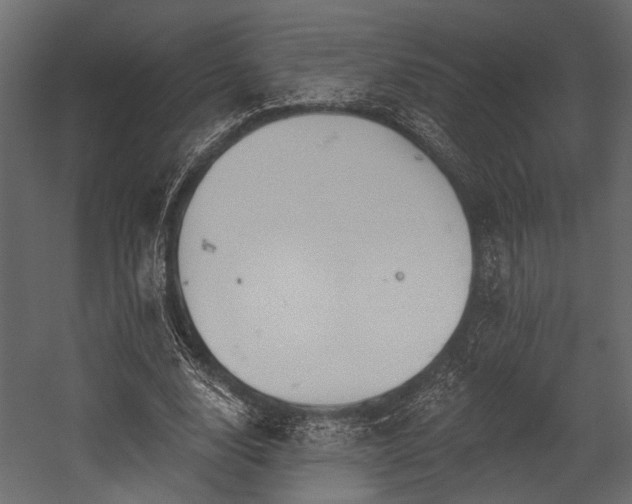 X0000054440632200508011430