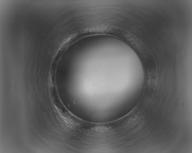 X0000054440636200508011430