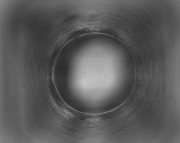 X0000054440639200508011431