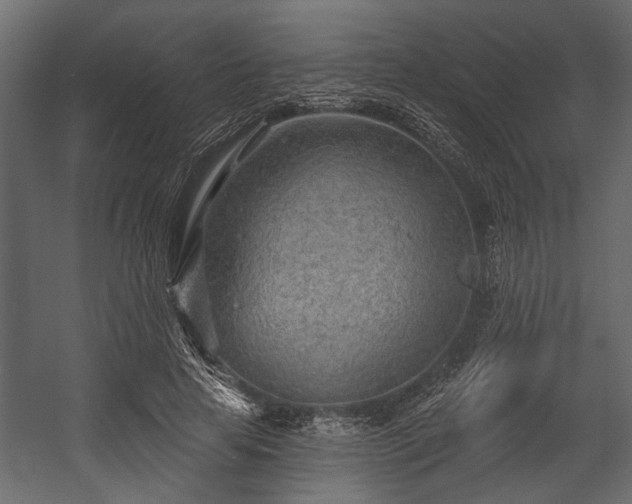 X0000054440641200508011431