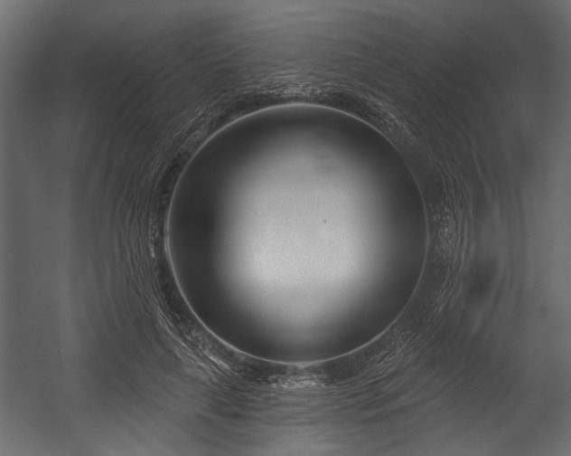 X0000054440643200508011431