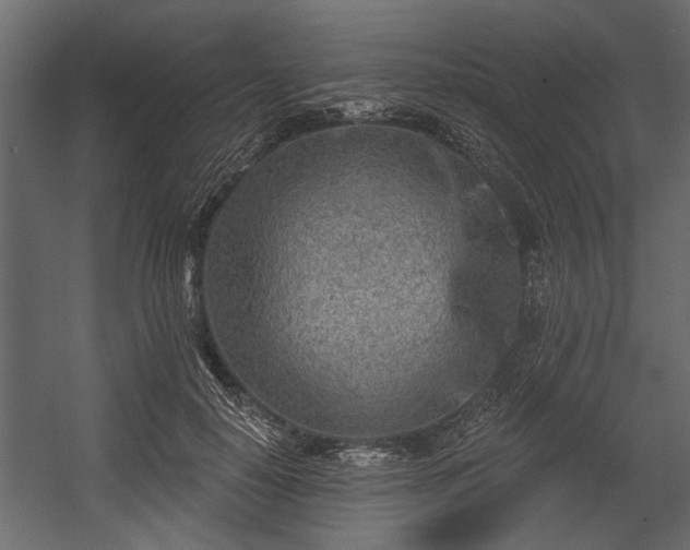 X0000054440650200508011431