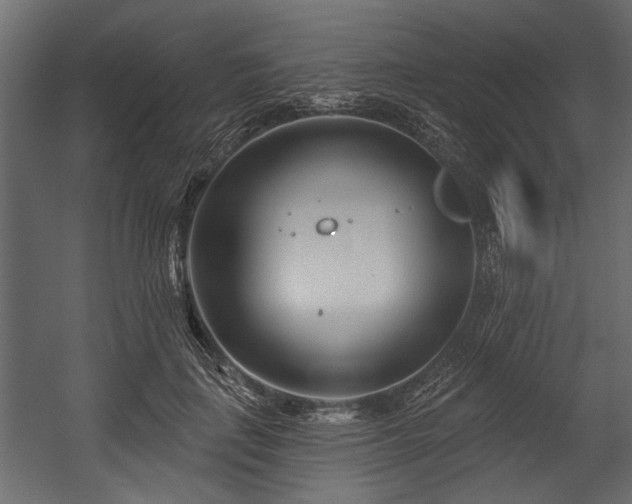 X0000054440651200508011431