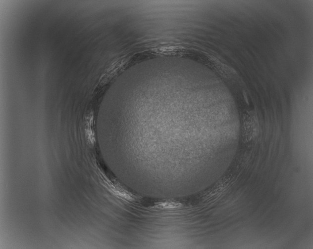 X0000054440654200508011431