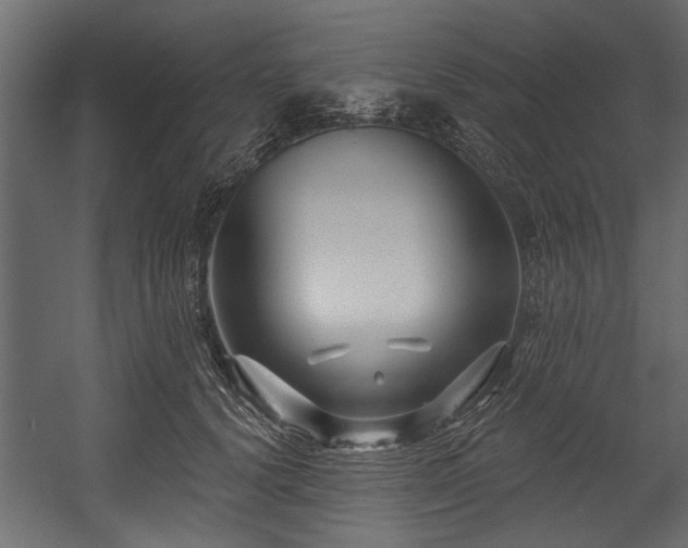 X0000054440656200508011431