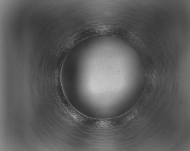 X0000054440660200508011431