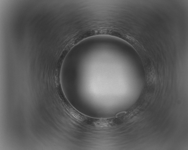 X0000054440661200508011431