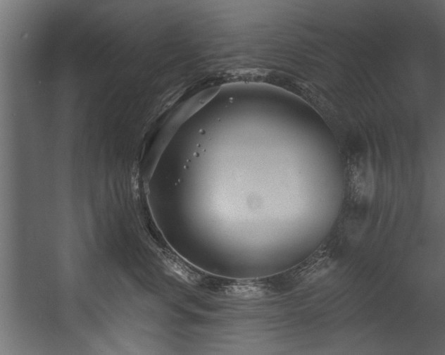 X0000054440668200508011431