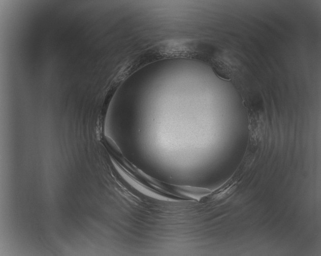 X0000054440669200508011431