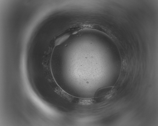 X0000054440671200508011431