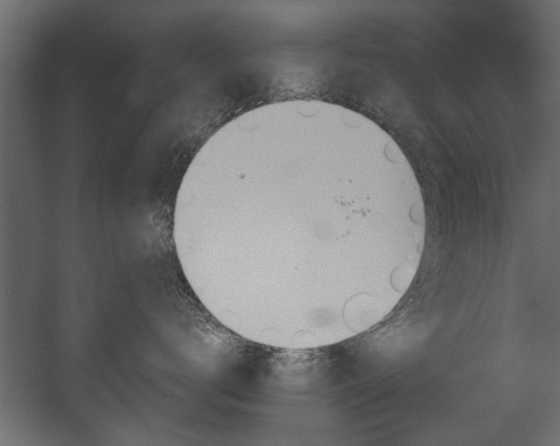 X0000054440672200508011431