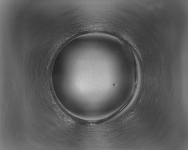 X0000054440673200508011430