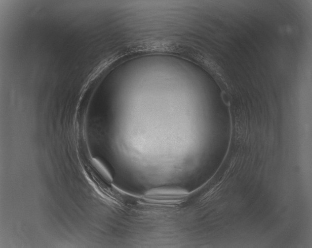 X0000054440674200508011430