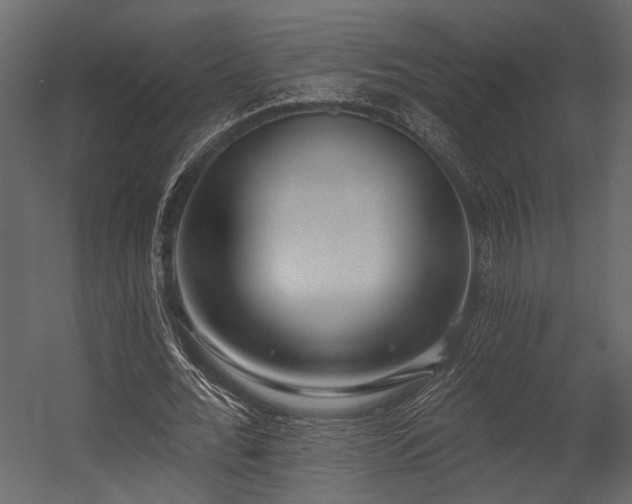 X0000054440676200508011430