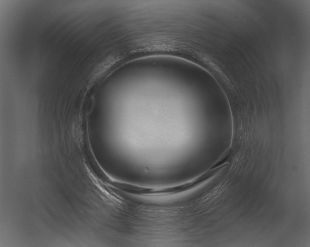 X0000054440677200508011430