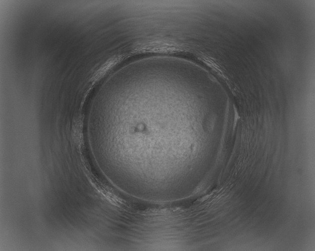 X0000054440679200508011430