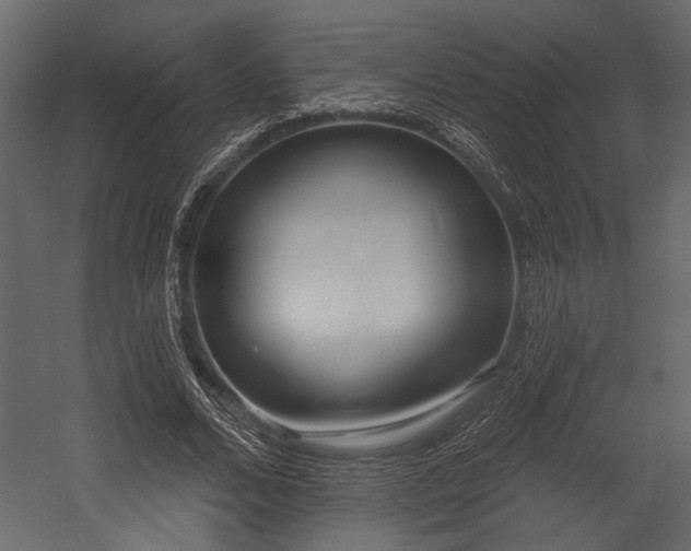 X0000054440680200508011430