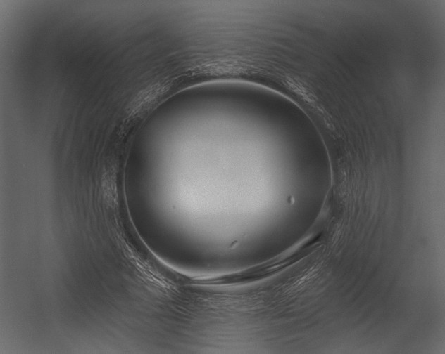 X0000054440681200508011430