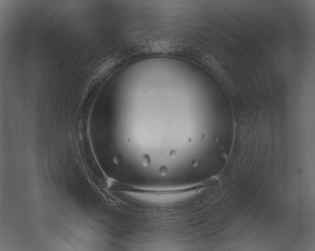 X0000054440683200508011430