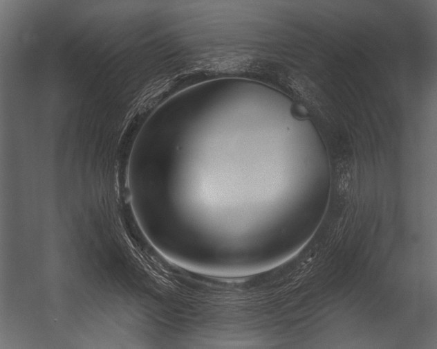 X0000054440685200508011430