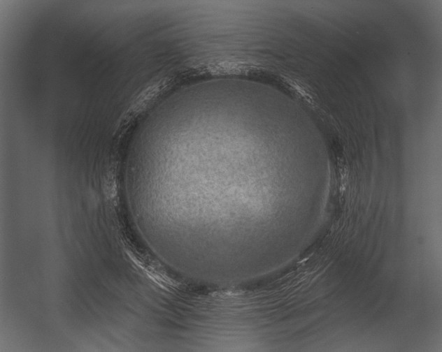 X0000054440687200508011430