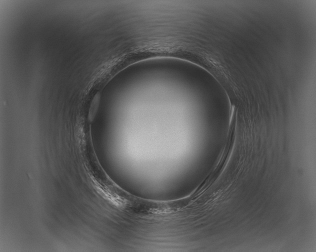 X0000054440688200508011430