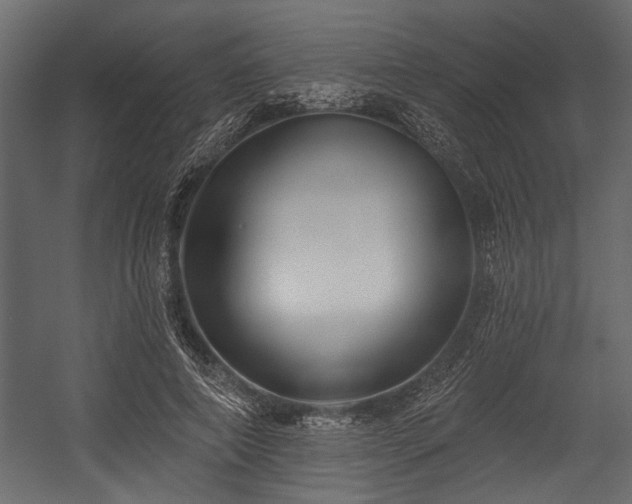 X0000054440690200508011430