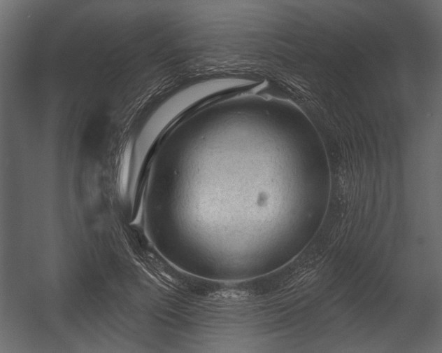 X0000054440691200508011430