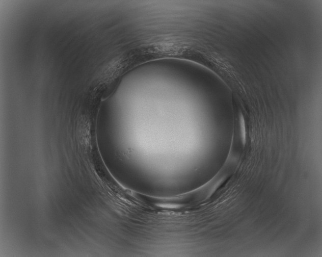 X0000054440693200508011430