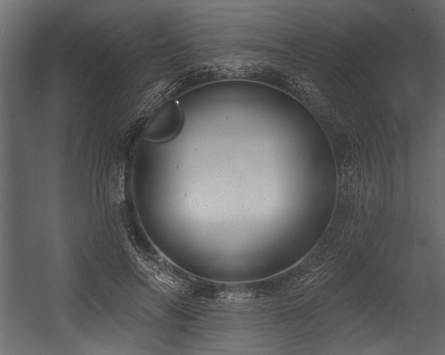 X0000054440694200508011430