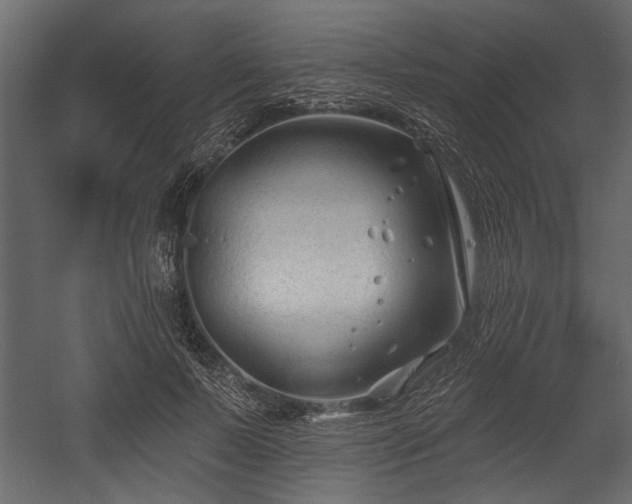 X0000054440695200508011430