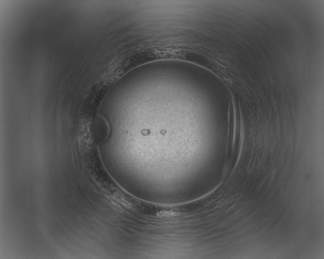 X0000054440699200508011430