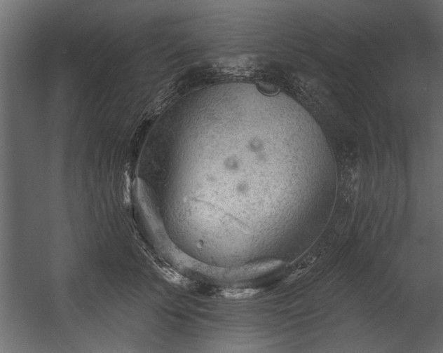 X0000054440707200508011430