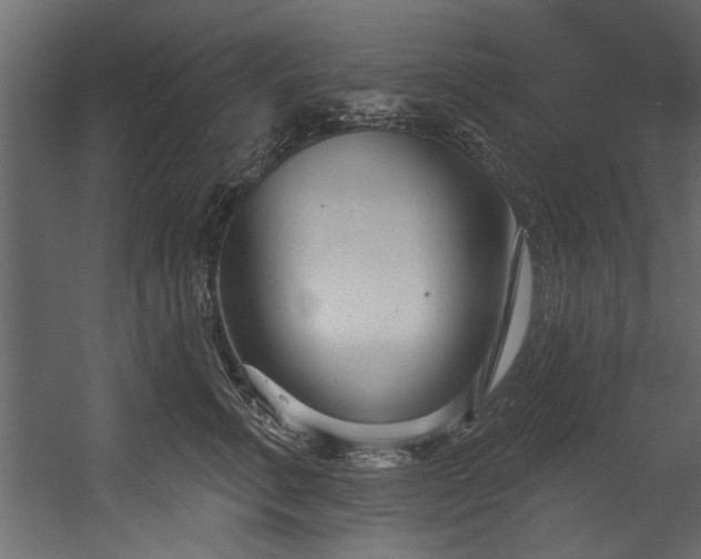 X0000054440711200508011430