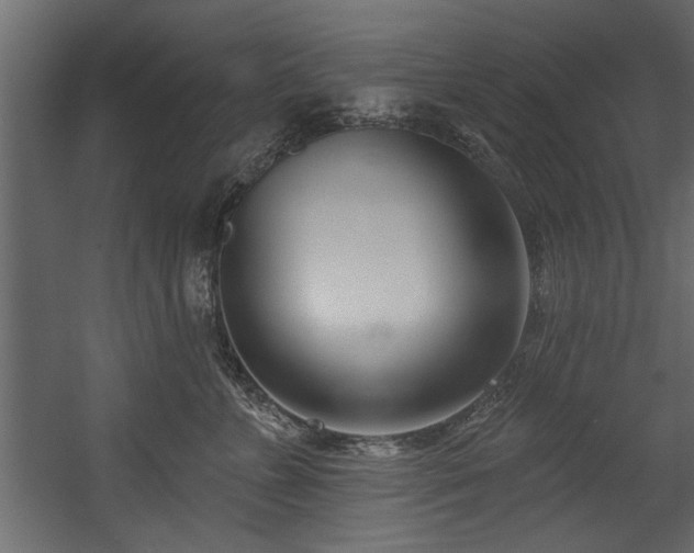 X0000054440715200508011430