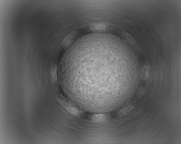 X0000054440717200508011430