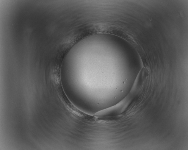 X0000054440719200508011429