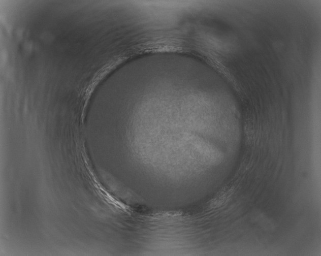 X0000054440721200508011429