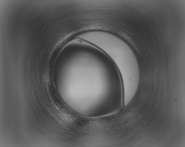 X0000054440732200508011429
