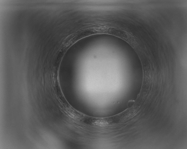 X0000054440749200508011429