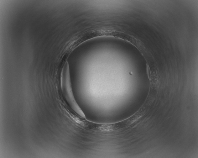 X0000054440762200508011429