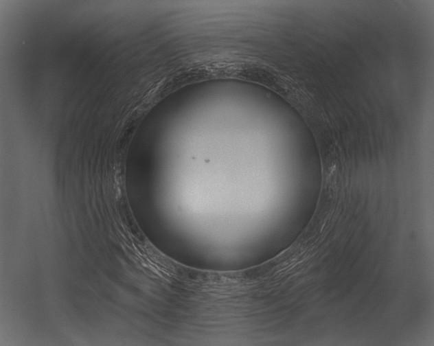 X0000054440772200508011429