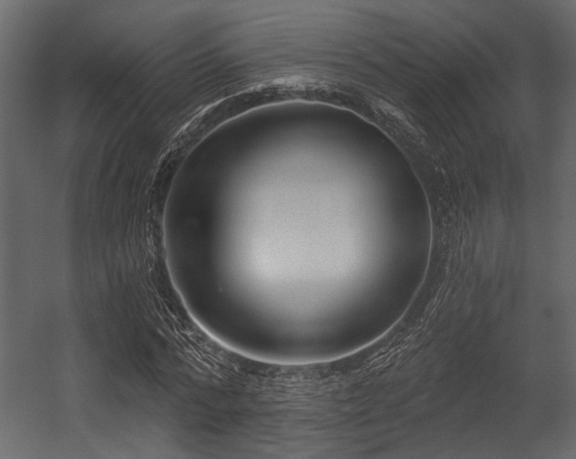 X0000054440776200508011428