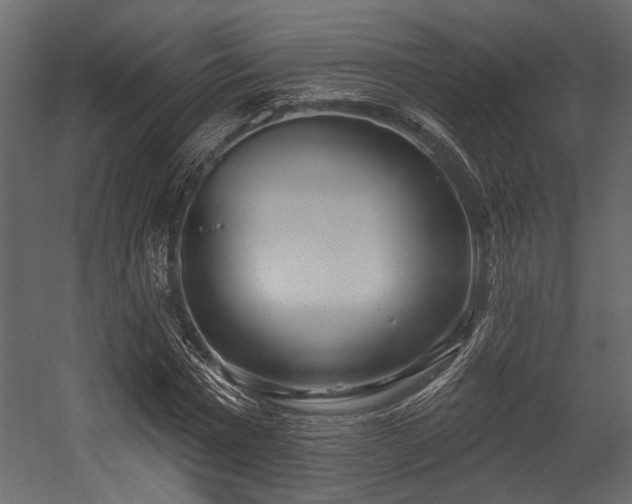 X0000054440777200508011428