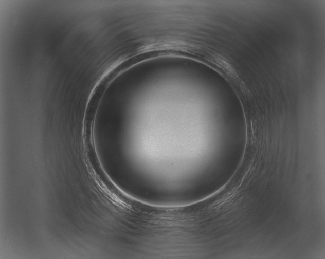 X0000054440780200508011428