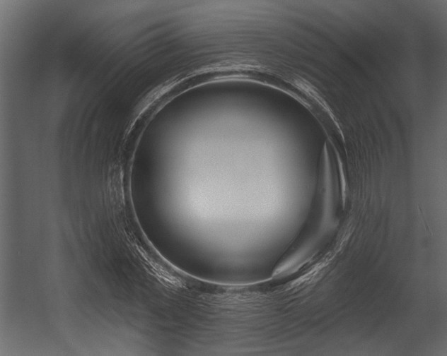 X0000054440781200508011428