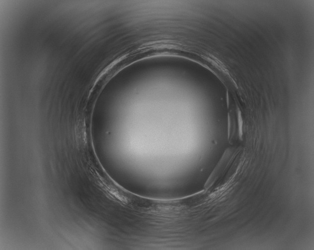 X0000054440782200508011428