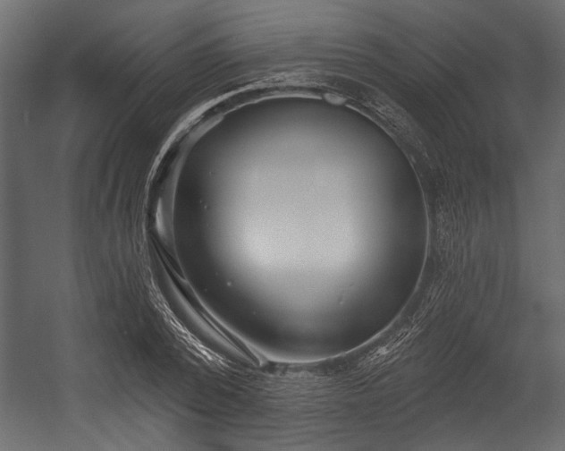 X0000054440784200508011428