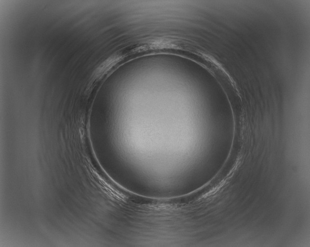 X0000054440785200508011428